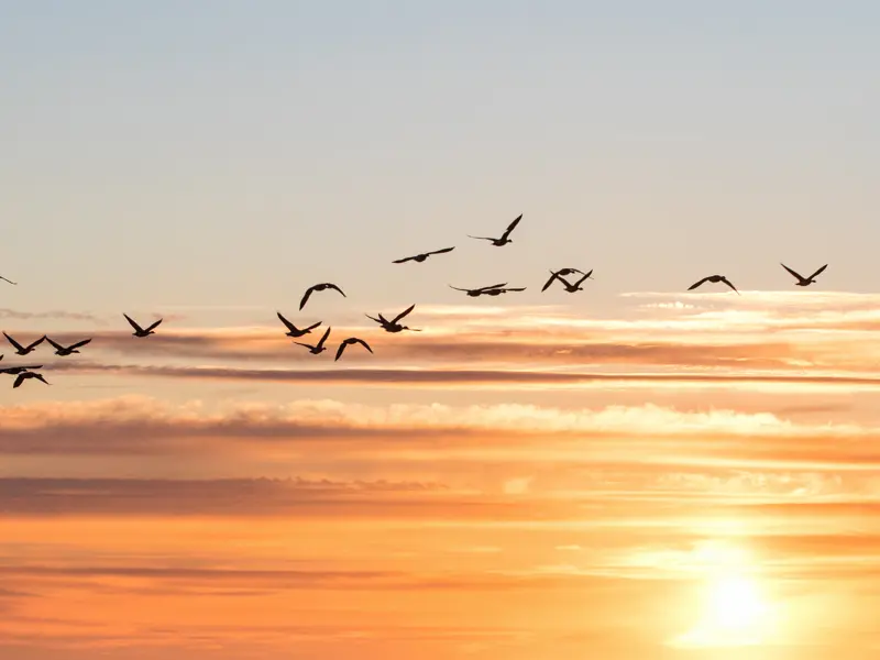 AdobeStock_476296910.jpg